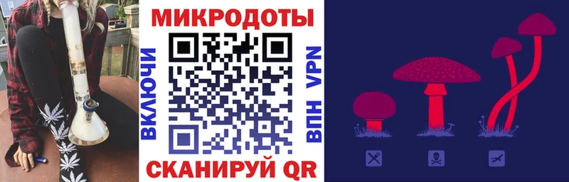 Купить  Вяземский  Галлюциногенные грибы Psilocybine cubensis 
